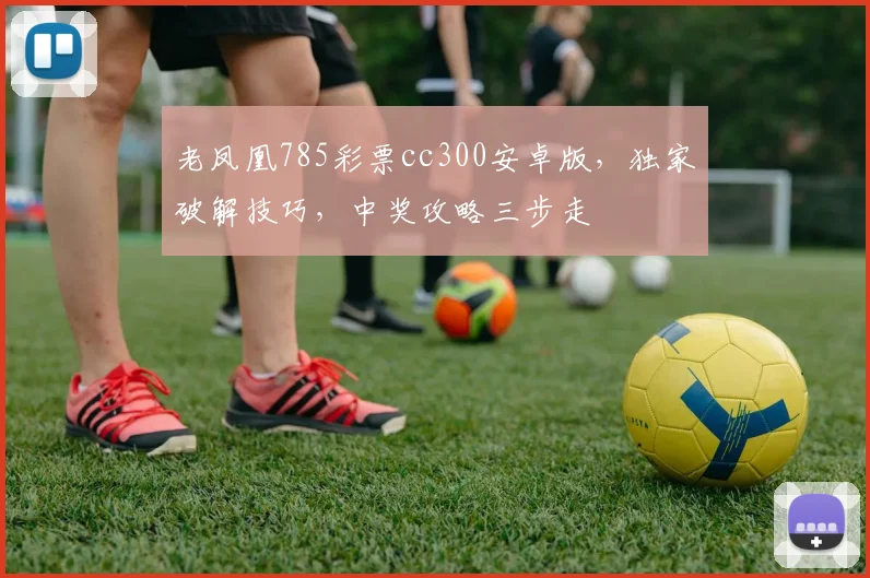 老凤凰785彩票cc300安卓版，独家破解技巧，中奖攻略三步走